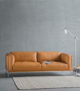 Cozy Leather Sofa